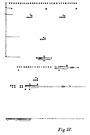 Fig. 57. Second platoon - as skirmishers. By the right flank - take intervals. MARCH (or double quick - MARCH).